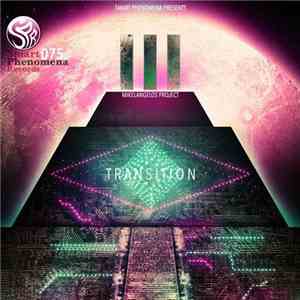 Mikelangelos Project - Transition