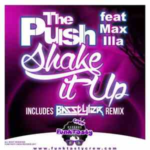 The Push  feat Max Illa - Shake It Up