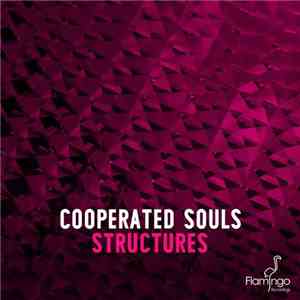Cooperated Souls - Structures