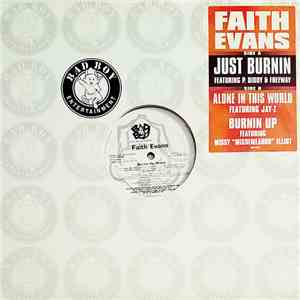 Faith Evans - Just Burnin
