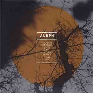 Guilherme Rodrigues, David Area, Guillermo Torres, Tomás Gris - Aleph