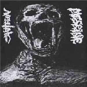 Shitfun / Mesrine - Split Tape