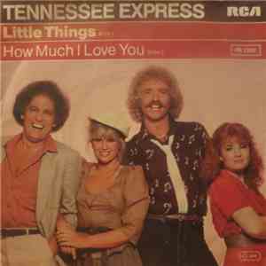 Tennessee Express - Little Things