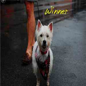 Alex G  - Winner
