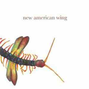 New American Wing - New American Wing