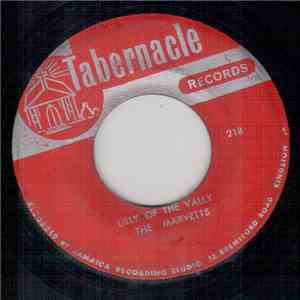 The Marvetts - Lily Of The Valley