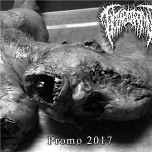 Hymenotomy - Promo