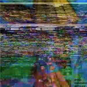 Illuminated Paths - OMG忍者クジラ 'A Visual Representation of My Life in Color'