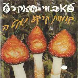סאבווי סאקרס - קומות קרקע ומטה
