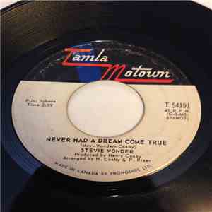 Stevie Wonder - Never Had A Dream Come True