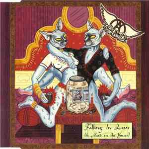 Aerosmith - Falling In Love (Is Hard On The Knees)