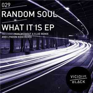 Random Soul - What It Is EP