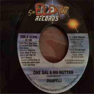Shampelli - One Gal A Nu Nutten