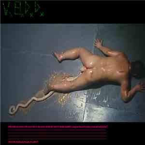 VxBxDxDx - FUCK World, Music, People, You, Me!!!