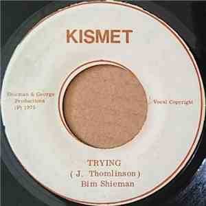 Bim Shieman - Keep On Trying