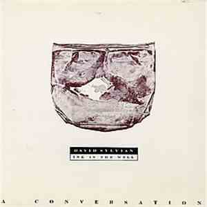 David Sylvian - Ink In The Well A Conversation