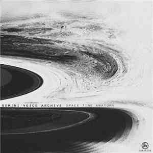 Gemini Voice Archive - Space Time Anatomy