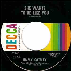 Jimmy Gateley - She Wants To Be Like You