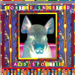 Various - Sorted, Snorted And Sported