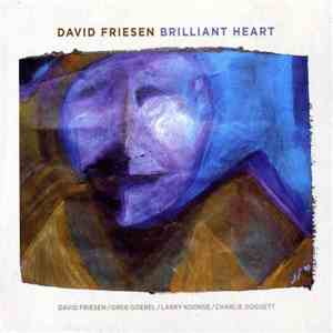 David Friesen - Brilliant Heart