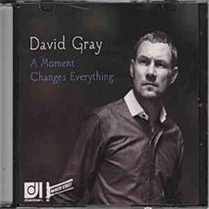 David Gray - A Moment Changes Everything