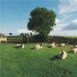 The KLF - Chill Out