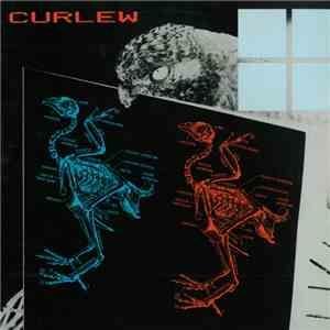 Curlew - Curlew