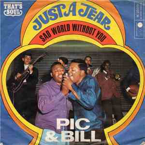 Pic & Bill - Just A Tear