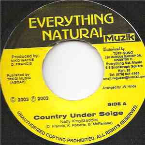 Natty King & Gaddiel - Country Under Seige