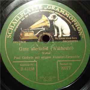 Paul Godwin Mit Seinem Künstler-Ensemble - Ganz Allerliebst / Ay, Ay, Ay