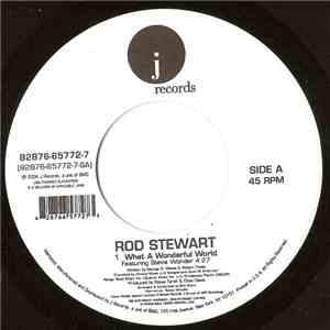 Rod Stewart Featuring Stevie Wonder - What A Wonderful World