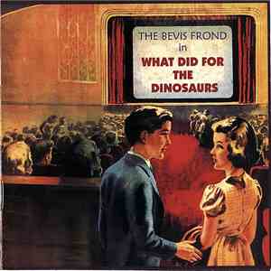 The Bevis Frond - What Did For The Dinosaurs