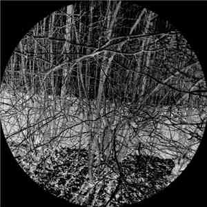Bleak  - Sudden Drop Tracks