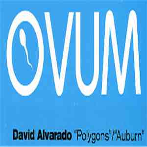David Alvarado - Polygons / Auburn