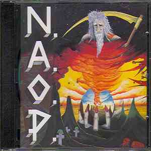 N.A.O.P. - New Age Of Politics