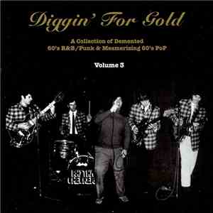Various - Diggin' For Gold Volume 3