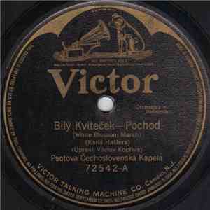 Psotova Čechoslovenská Kapela - Bílý Kvíteček