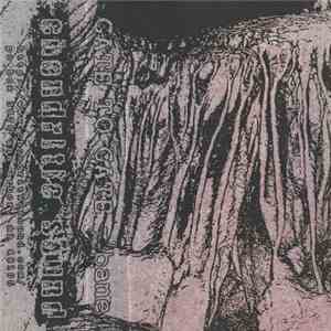 Gate To Gate - Bane