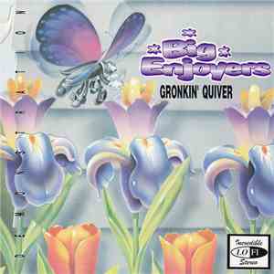 Big Enjoyers - Gronkin' Quiver