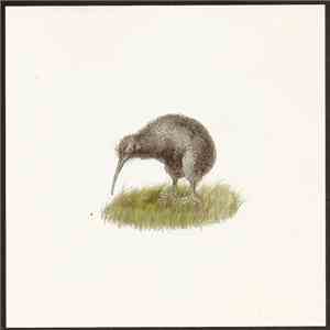 El Oso - Whichever Chapter Covers Now
