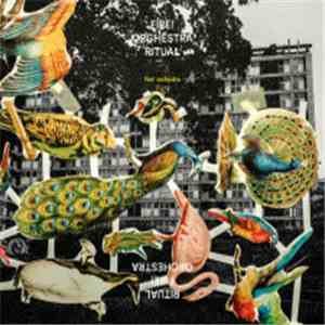 Fire! Orchestra - Ritual