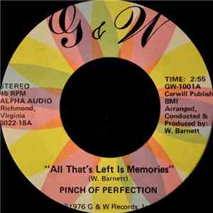 Pinch Of Perfection - All That's Left Is Memories / Loving Alone