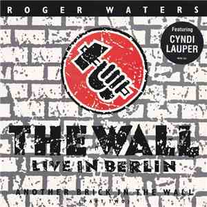 Roger Waters - Another Brick In The Wall (Part Two)