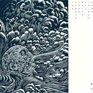 LTO - The Number From Which All Things Come