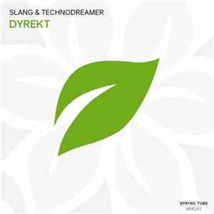 Slang & Technodreamer - Dyrekt
