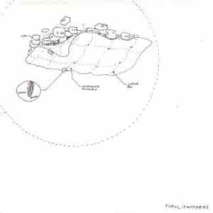 The Pumali Panthers - Pumali Panthers