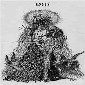Ø))) - + I Gave Up Love And Happiness A Long Time Ago +
