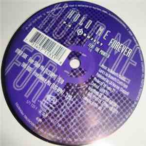 P.A. Project Featuring The Pointer - Hold Me Forever