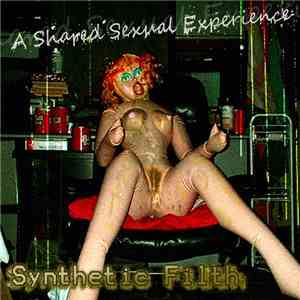 A Shared Sexual Experience - Synthetic Filth