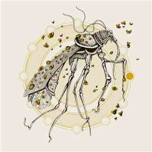 Akaname / Lesbian's Fungal Abyss - Rain Will Be The New Gold / Humongous Fungus